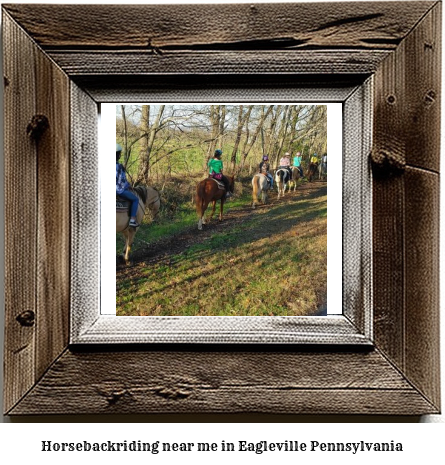 horseback riding near me in Eagleville, Pennsylvania